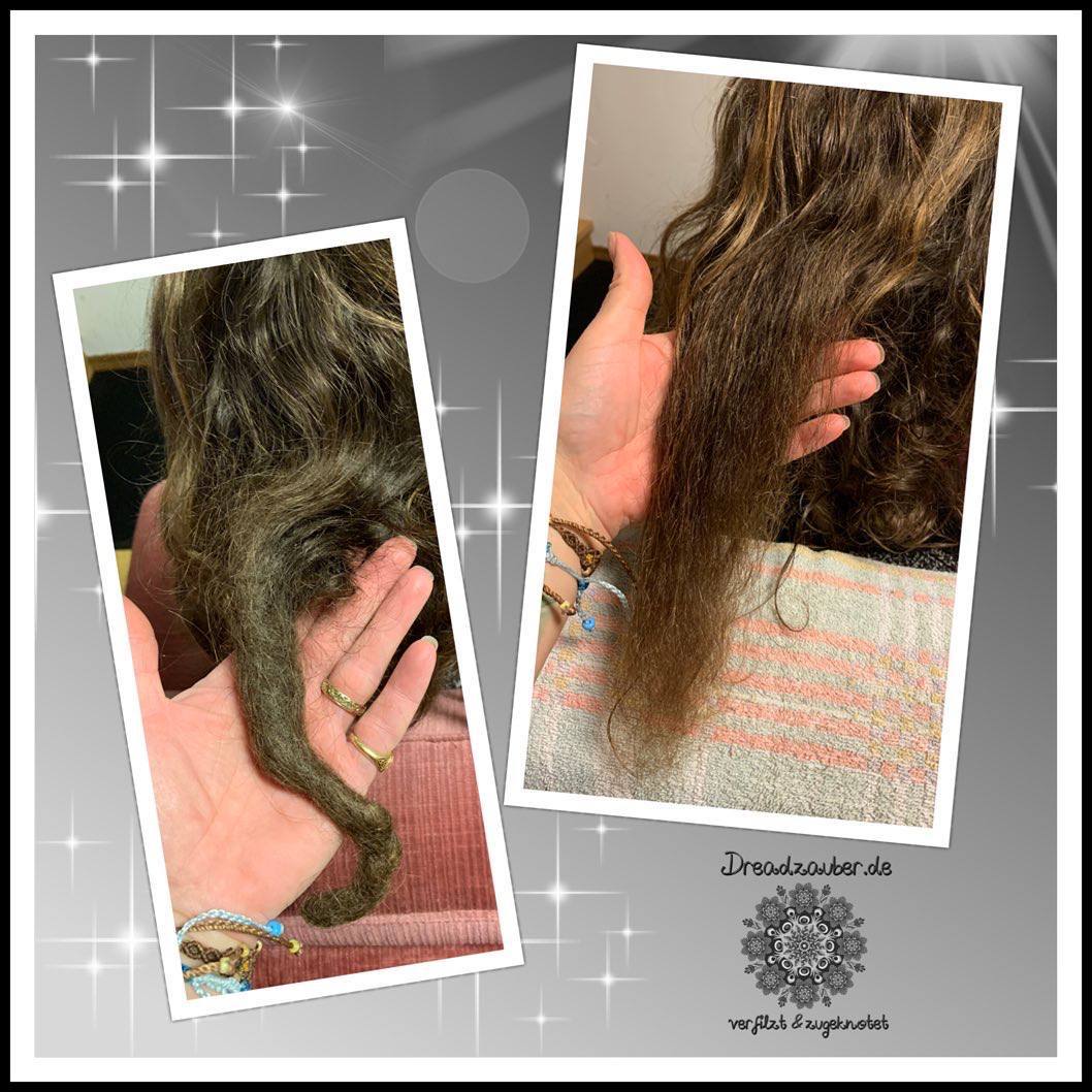 Dreadlock geöffnet, der sich selber dorthin entwickelt hatte